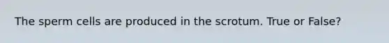 The sperm cells are produced in the scrotum. True or False?