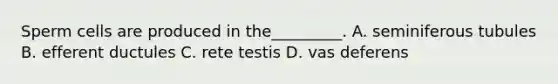 Sperm cells are produced in the_________. A. seminiferous tubules B. efferent ductules C. rete testis D. vas deferens