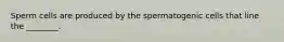 Sperm cells are produced by the spermatogenic cells that line the ________.