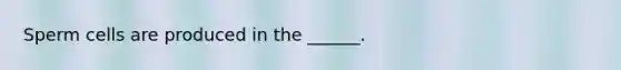 Sperm cells are produced in the ______.