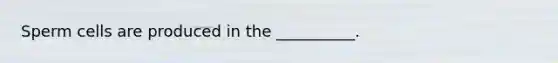 Sperm cells are produced in the __________.