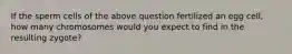 If the sperm cells of the above question fertilized an egg cell, how many chromosomes would you expect to find in the resulting zygote?