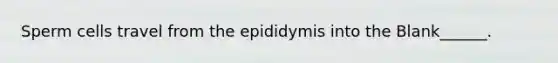 Sperm cells travel from the epididymis into the Blank______.