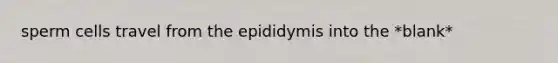 sperm cells travel from the epididymis into the *blank*