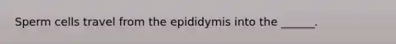 Sperm cells travel from the epididymis into the ______.