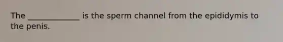 The _____________ is the sperm channel from the epididymis to the penis.