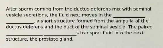 After sperm coming from the ductus deferens mix with seminal vesicle secretions, the fluid next moves in the ______________ ____________, a short structure formed from the ampulla of the ductus deferens and the duct of the seminal vesicle. The paired ________________ ______________s transport fluid into the next structure, the prostate gland.