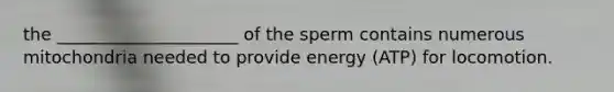 the _____________________ of the sperm contains numerous mitochondria needed to provide energy (ATP) for locomotion.