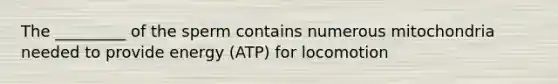 The _________ of the sperm contains numerous mitochondria needed to provide energy (ATP) for locomotion