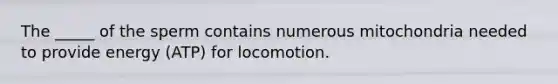 The _____ of the sperm contains numerous mitochondria needed to provide energy (ATP) for locomotion.