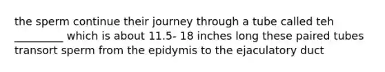 the sperm continue their journey through a tube called teh _________ which is about 11.5- 18 inches long these paired tubes transort sperm from the epidymis to the ejaculatory duct