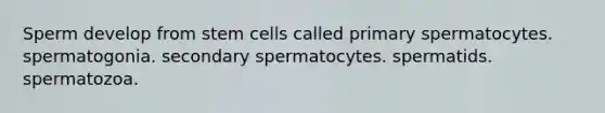 Sperm develop from stem cells called primary spermatocytes. spermatogonia. secondary spermatocytes. spermatids. spermatozoa.