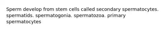 Sperm develop from stem cells called secondary spermatocytes. spermatids. spermatogonia. spermatozoa. primary spermatocytes