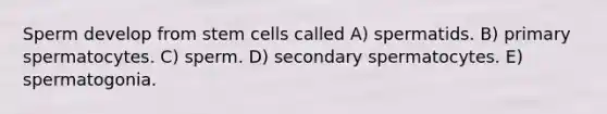 Sperm develop from stem cells called A) spermatids. B) primary spermatocytes. C) sperm. D) secondary spermatocytes. E) spermatogonia.