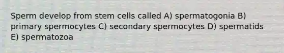 Sperm develop from stem cells called A) spermatogonia B) primary spermocytes C) secondary spermocytes D) spermatids E) spermatozoa