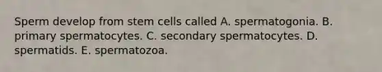 Sperm develop from stem cells called A. spermatogonia. B. primary spermatocytes. C. secondary spermatocytes. D. spermatids. E. spermatozoa.