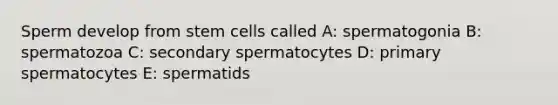 Sperm develop from stem cells called A: spermatogonia B: spermatozoa C: secondary spermatocytes D: primary spermatocytes E: spermatids