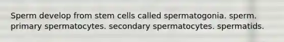 Sperm develop from stem cells called spermatogonia. sperm. primary spermatocytes. secondary spermatocytes. spermatids.