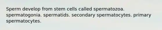 Sperm develop from stem cells called spermatozoa. spermatogonia. spermatids. secondary spermatocytes. primary spermatocytes.