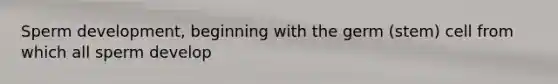 Sperm development, beginning with the germ (stem) cell from which all sperm develop