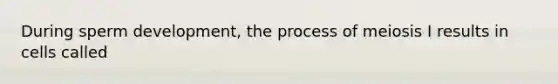 During sperm development, the process of meiosis I results in cells called