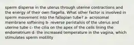 sperm disperse in the uterus through uterine contractions and the energy of their own flagella. What other factor is involved in sperm movement into the fallopian tube? a- acrosomal membrane softening b- reverse peristalsis of the uterus and uterine tube c- the cilia on the apex of the cells lining the endometrium d- the increased temperature in the vagina, which stimulates sperm motility