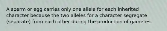 A sperm or egg carries only one allele for each inherited character because the two alleles for a character segregate (separate) from each other during the production of gametes.