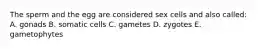 The sperm and the egg are considered sex cells and also called: A. gonads B. somatic cells C. gametes D. zygotes E. gametophytes
