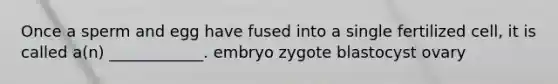 Once a sperm and egg have fused into a single fertilized cell, it is called a(n) ____________. embryo zygote blastocyst ovary