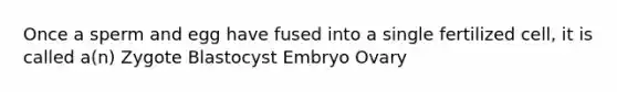 Once a sperm and egg have fused into a single fertilized cell, it is called a(n) Zygote Blastocyst Embryo Ovary