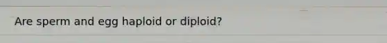 Are sperm and egg haploid or diploid?