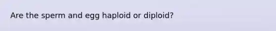 Are the sperm and egg haploid or diploid?