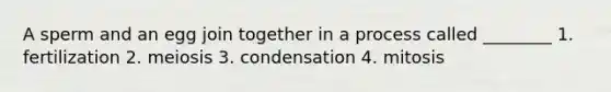 A sperm and an egg join together in a process called ________ 1. fertilization 2. meiosis 3. condensation 4. mitosis