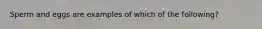 Sperm and eggs are examples of which of the following?