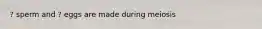 ? sperm and ? eggs are made during meiosis