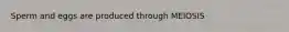 Sperm and eggs are produced through MEIOSIS
