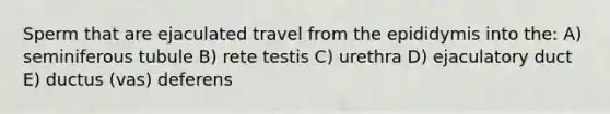 Sperm that are ejaculated travel from the epididymis into the: A) seminiferous tubule B) rete testis C) urethra D) ejaculatory duct E) ductus (vas) deferens