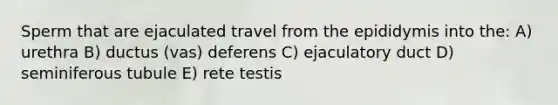 Sperm that are ejaculated travel from the epididymis into the: A) urethra B) ductus (vas) deferens C) ejaculatory duct D) seminiferous tubule E) rete testis