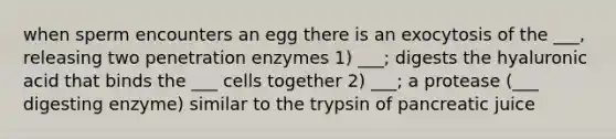 when sperm encounters an egg there is an exocytosis of the ___, releasing two penetration enzymes 1) ___; digests the hyaluronic acid that binds the ___ cells together 2) ___; a protease (___ digesting enzyme) similar to the trypsin of pancreatic juice