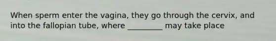 When sperm enter the vagina, they go through the cervix, and into the fallopian tube, where _________ may take place