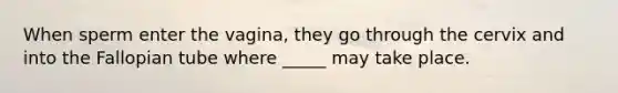 When sperm enter the vagina, they go through the cervix and into the Fallopian tube where _____ may take place.