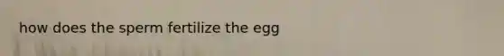 how does the sperm fertilize the egg