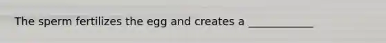 The sperm fertilizes the egg and creates a ____________