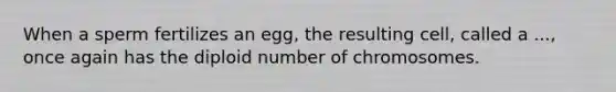 When a sperm fertilizes an egg, the resulting cell, called a ..., once again has the diploid number of chromosomes.