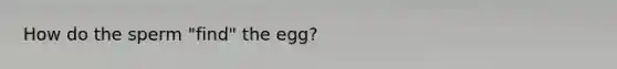 How do the sperm "find" the egg?