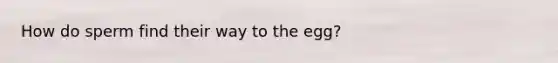 How do sperm find their way to the egg?