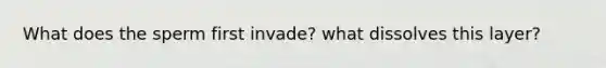 What does the sperm first invade? what dissolves this layer?