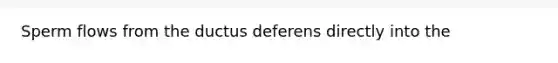 Sperm flows from the ductus deferens directly into the