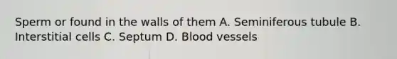 Sperm or found in the walls of them A. Seminiferous tubule B. Interstitial cells C. Septum D. <a href='https://www.questionai.com/knowledge/kZJ3mNKN7P-blood-vessels' class='anchor-knowledge'>blood vessels</a>