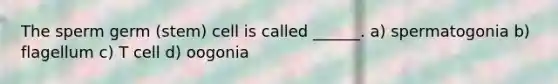 The sperm germ (stem) cell is called ______. a) spermatogonia b) flagellum c) T cell d) oogonia